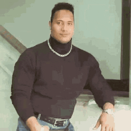 Dino The Rock Seventeen GIF
