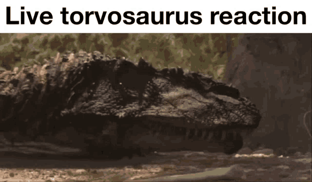 Dinosaurs Dinosaur Meme GIF