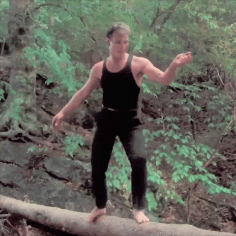 Dirty Dancing Dirty Dancing Movie GIF