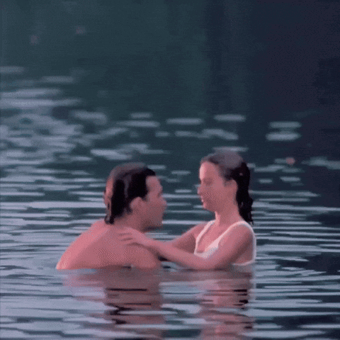 Dirty Dancing Dirty Dancing Movie GIF
