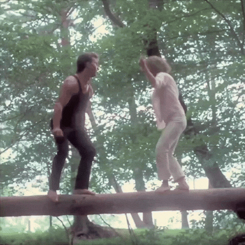 Dirty Dancing Dirty Dancing Movie GIF