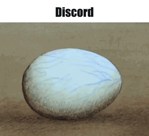 Discord Discord Mod GIF