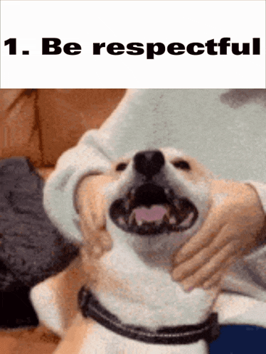 Discord Rules GIF