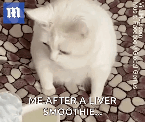 Disgust Disgusting GIF