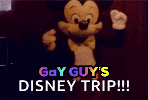 Disney World Florida GIF