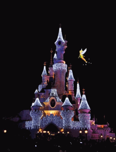 Disneyworld Castle GIF