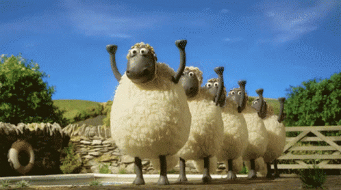 Dive Jump Obrecht Sheep Five Fence GIF. This 498 x 278 animated GIF is part of our counting sheep collection. Created by WECC. View the original animation…