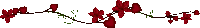 Divider Red Sticker