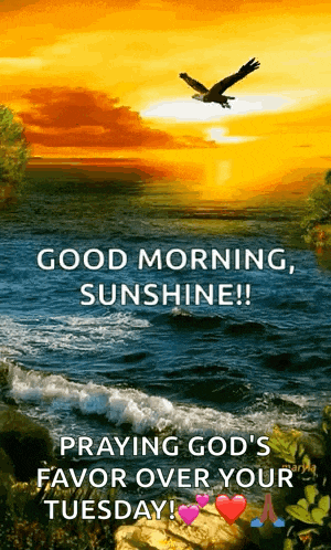 Diya Niceview GIF