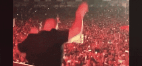Dj Khaled Edc GIF
