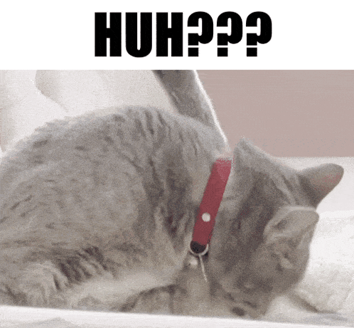 Dmi Dank Meme Isle GIF