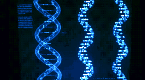 Dna Dns GIF