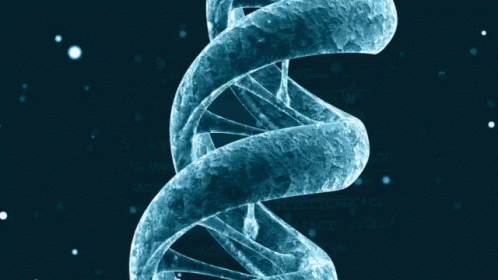 Dna Up Close GIF
