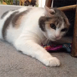 Do It Again And You Die GIF