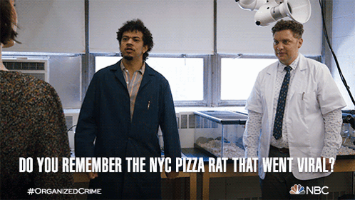Do You Remember The Nyc Pizza Rat That Went Viral Simon GIF. This 498 x 280 animated GIF is part of our pizza rat collection. Created by nbclawandorder…