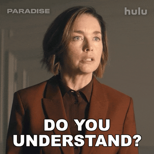 Do You Understand Sinatra GIF