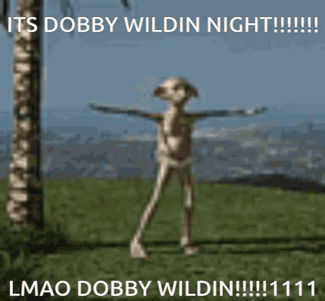 Dobby Dobby Wildin GIF