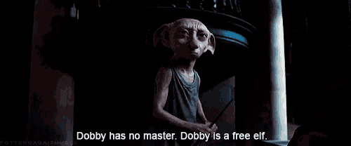 Dobby Has No Master Dobby Is Free Elf GIF
