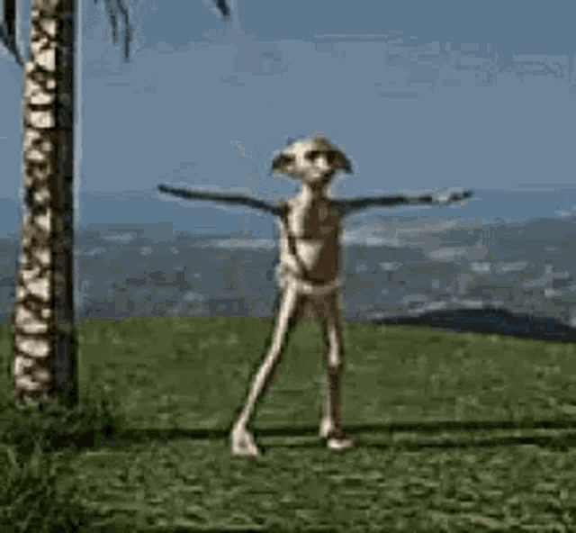 Dobby Is GIF