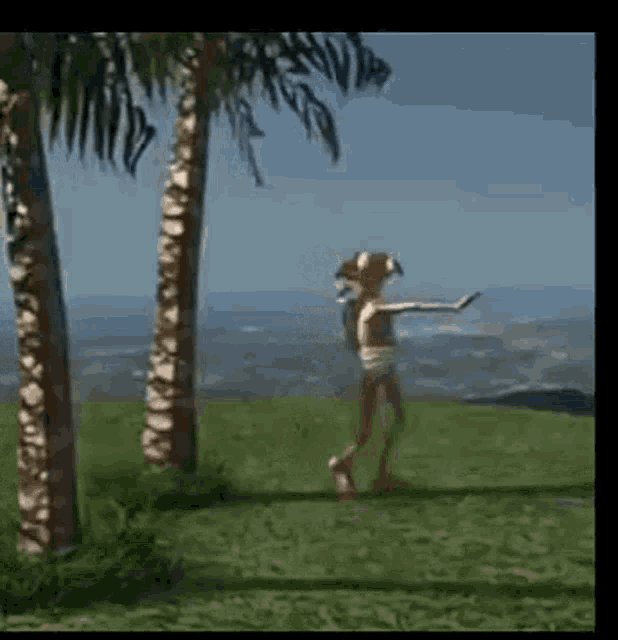 Dobby GIF