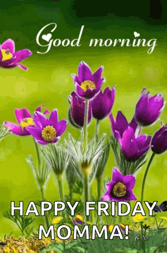Dobro Jutro GIF