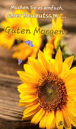 Dobro Jutro Slike GIF. This 293 x 498 animated GIF is part of our guten morgen freitag collection. Created by blazenstvo5. View the original animation…