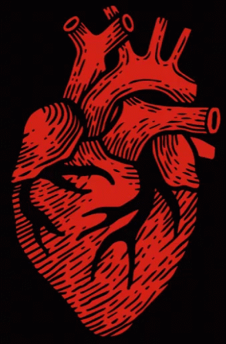 Docville Documentary Film Festival GIF