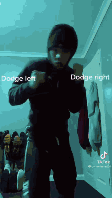 Dodge Kacey GIF