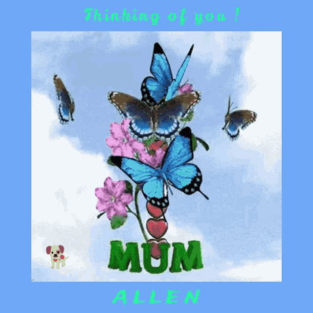 Dog And Butterfly Mum GIF