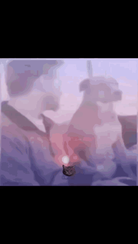 Dog Angry Dog GIF