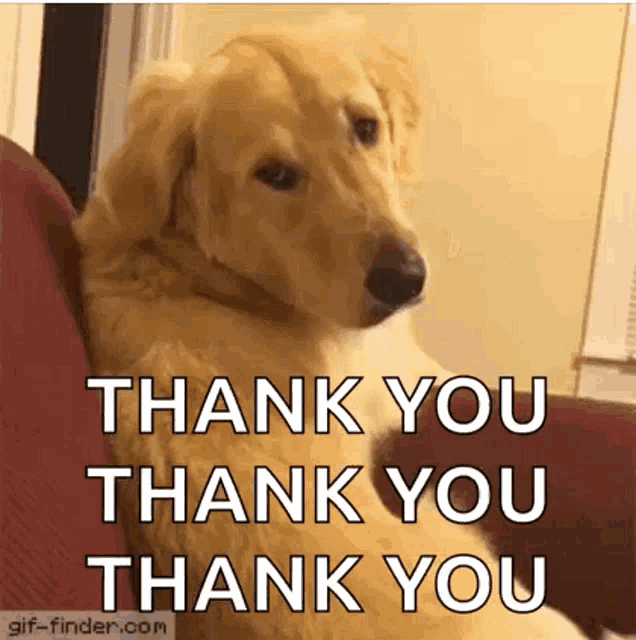 Dog Bark GIF
