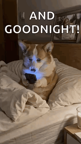 Dog Bed GIF