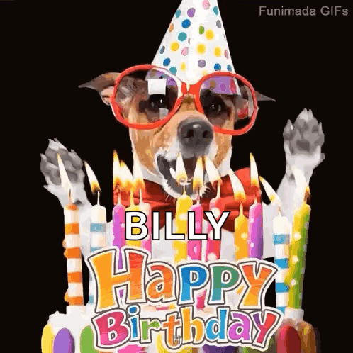 Dog Birthday GIF