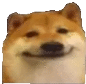 Dog Bruh Dog Sticker
