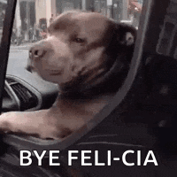 Dog Bye GIF