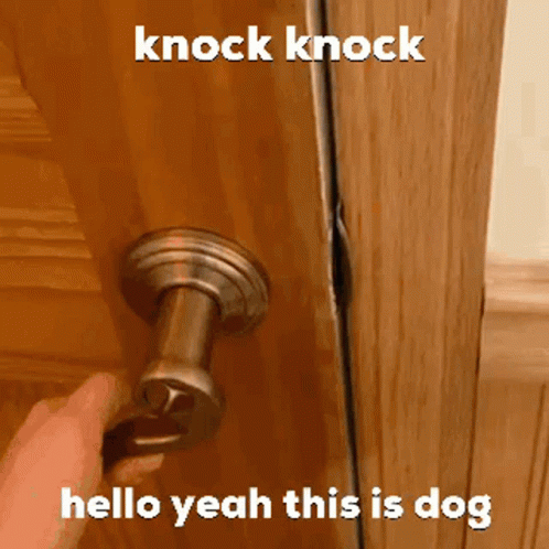 Dog Cierra GIF