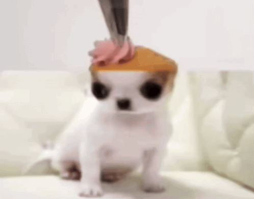 Dog Cupcake GIF