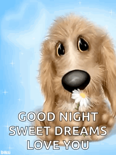 Dog Cute GIF