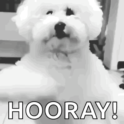 Dog Dancing GIF