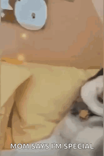 Dog Derpy GIF