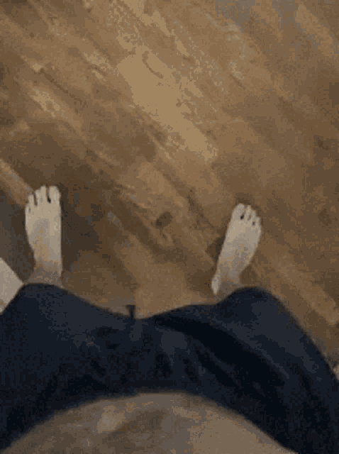 Dog Doggo GIF