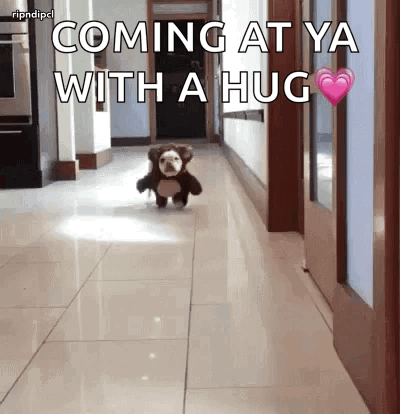 Dog Doggo GIF