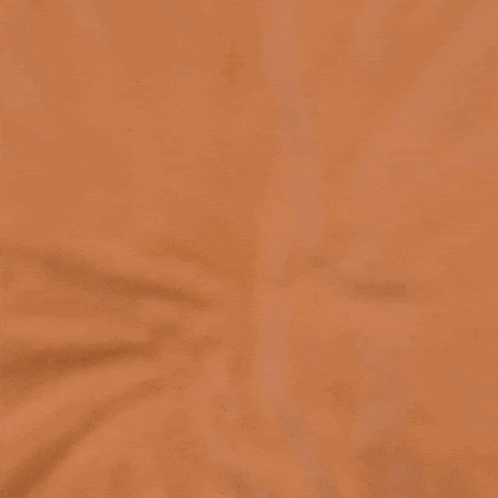 Dog Doggy GIF