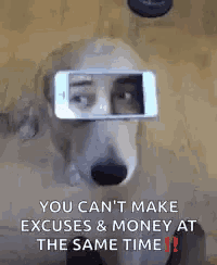 Dog Eyes GIF
