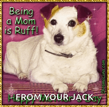 Dog GIF