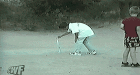Dog Fetching Firework GIF