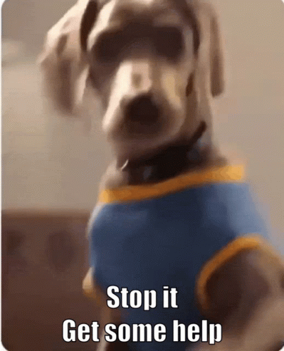 Dog Funny GIF