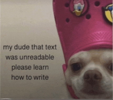 Dog Funny Meme