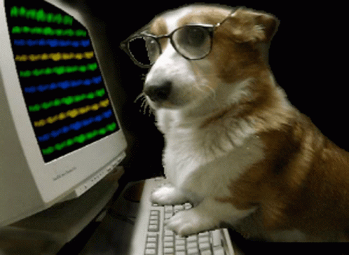 Dog Hacker GIF. This 498 x 364 animated GIF is part of our soy programador collection. Related themes include computer, hacker. Created by JARS1st. View the…