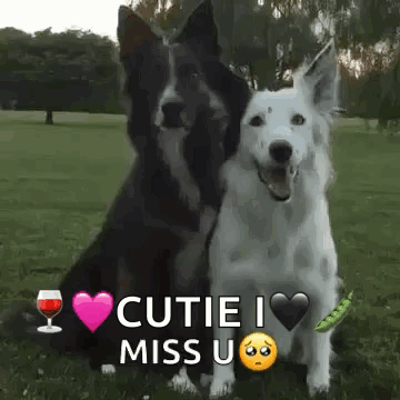 Dog Hug GIF
